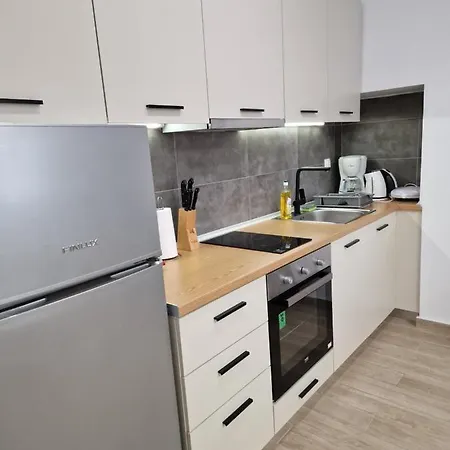 Apartment Skg Loft